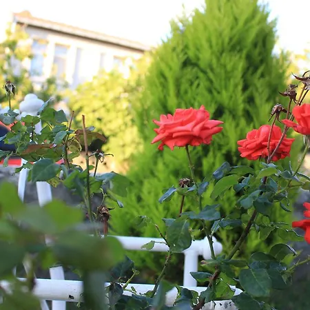 Rumeli Apart Апарт-отель *